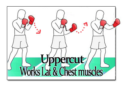 uppercut punch how to