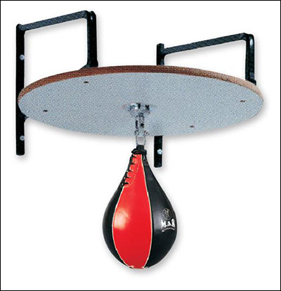 What is the best boxing bag to buy speed ball
